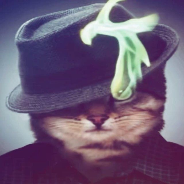 MoonUser avatar